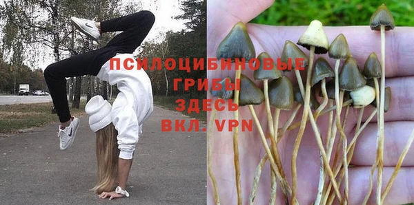 прущие крисы Армянск