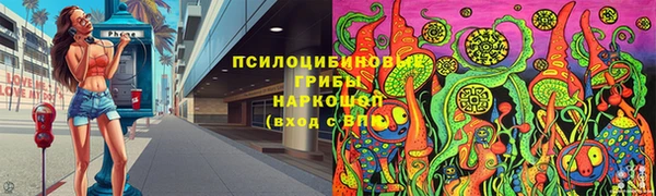 винт Аркадак
