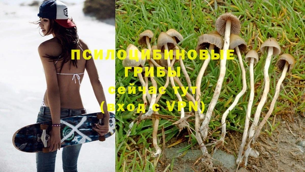 мяу мяу мука Арсеньев