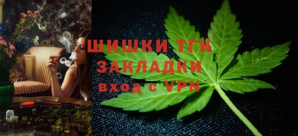 винт Аркадак