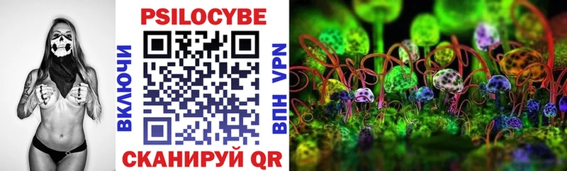Галлюциногенные грибы Cubensis  Динская 